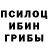 Псилоцибиновые грибы GOLDEN TEACHER 325val