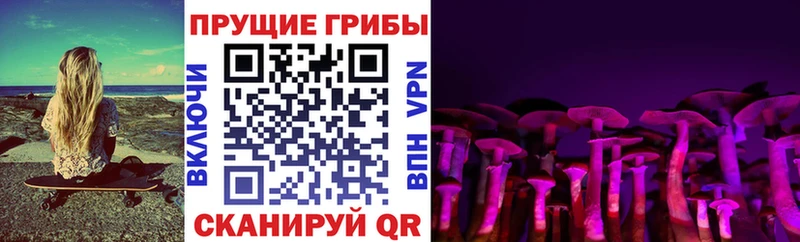 Псилоцибиновые грибы прущие грибы  купить   Октябрьский 