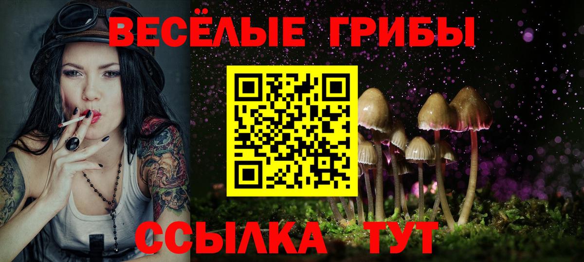 Псилоцибиновые грибы Magic Shrooms  Галлюциногенные грибы GOLDEN TEACHER  Вход с VPN  Октябрьский 